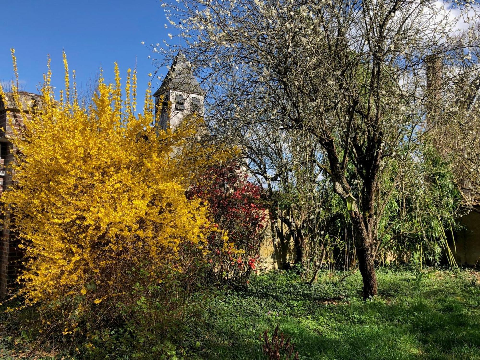 La Demeure D'Othe Panzió Sormery Kültér fotó